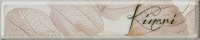 http://kinari.s25.xrea.com/images/links/banner.jpg